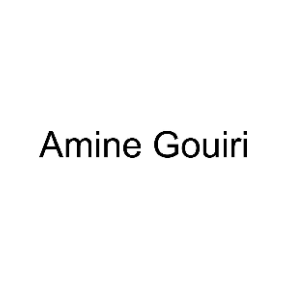 AMINE GOUIRI