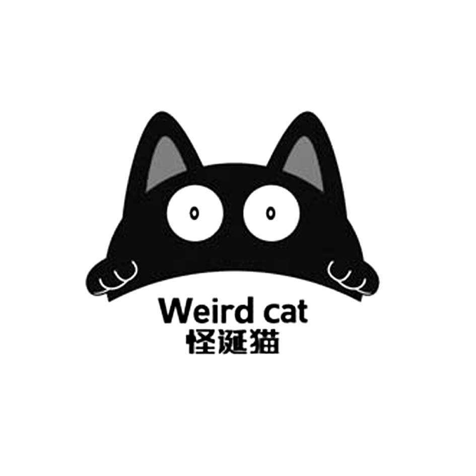 怪诞猫 WEIRD CAT