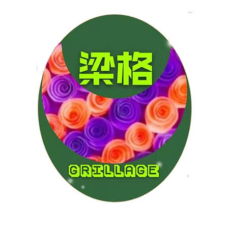 梁格 GRILLAGE