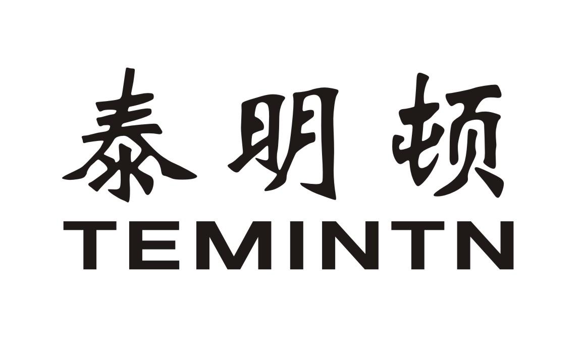 泰明顿 TEMINTN