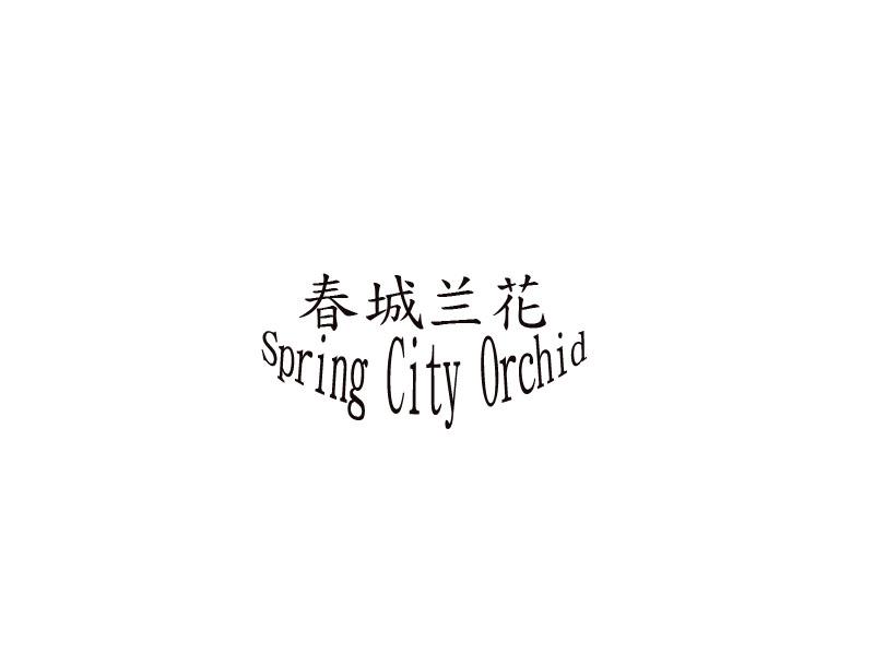 春城兰花 SPRING CITY ORCHID