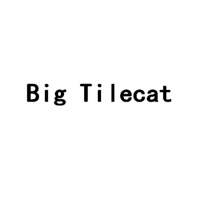 BIG TILECAT