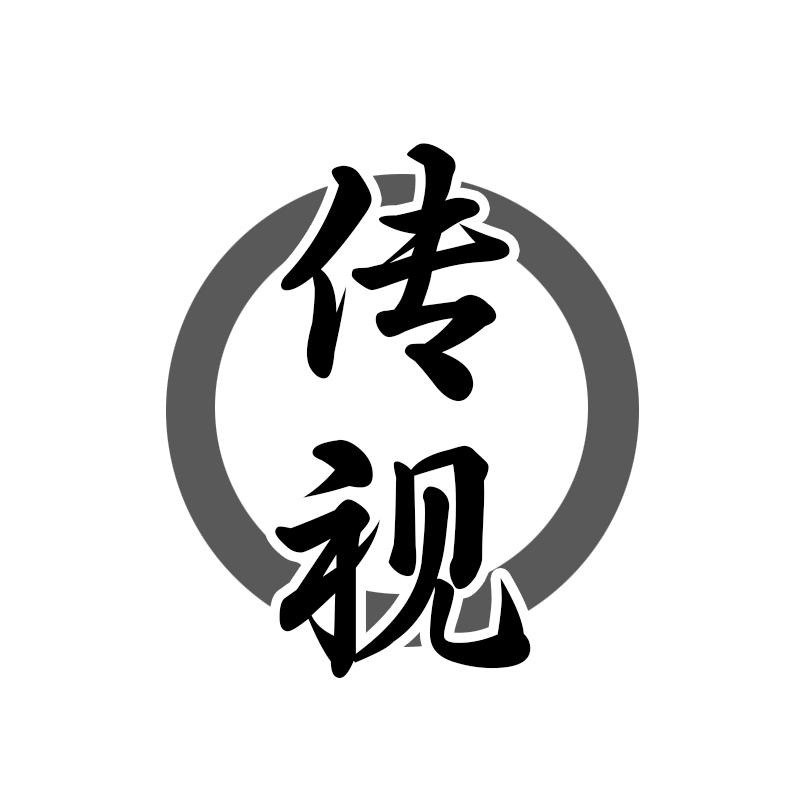 傳視