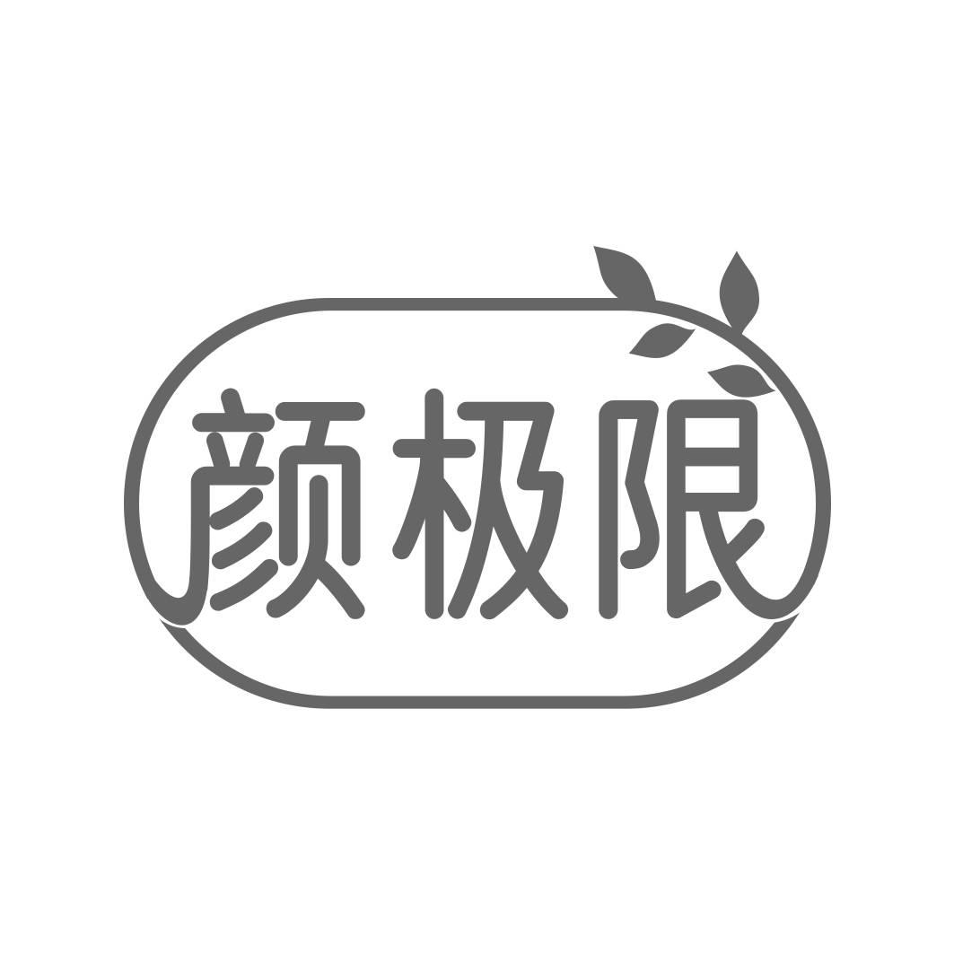 颜极限