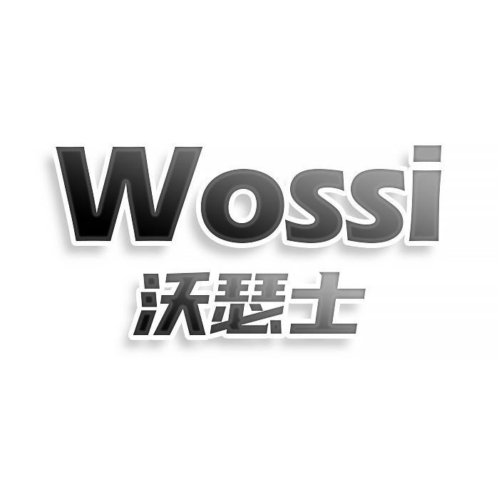 WOSSI 沃瑟士