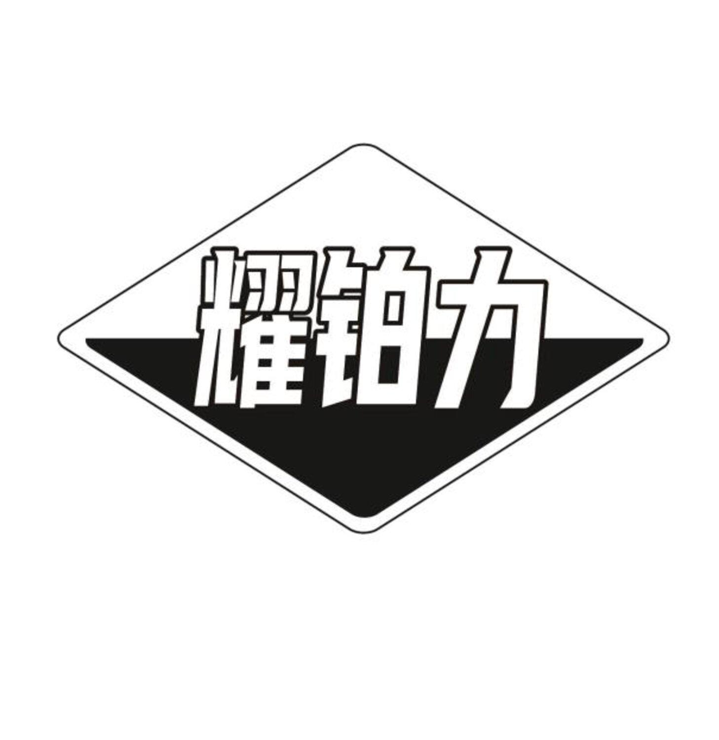 耀铂力