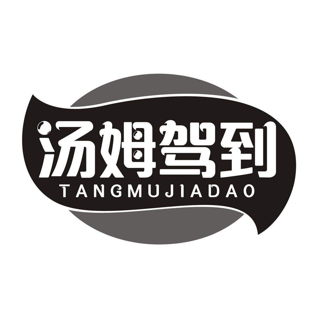 汤姆驾到