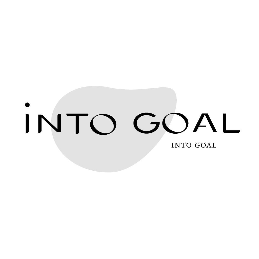 INTO GOAL INTO GOAL