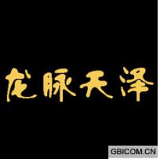 龙脉天泽