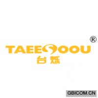 台烁 TAEESOOU