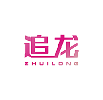 追龙