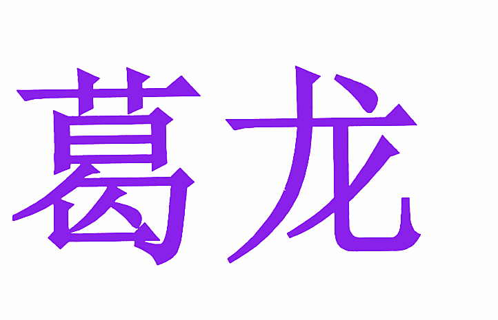 葛龙