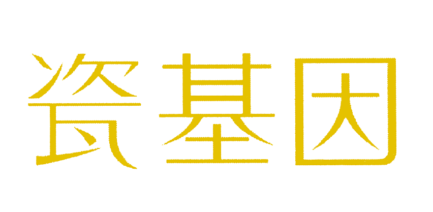 瓷基因
