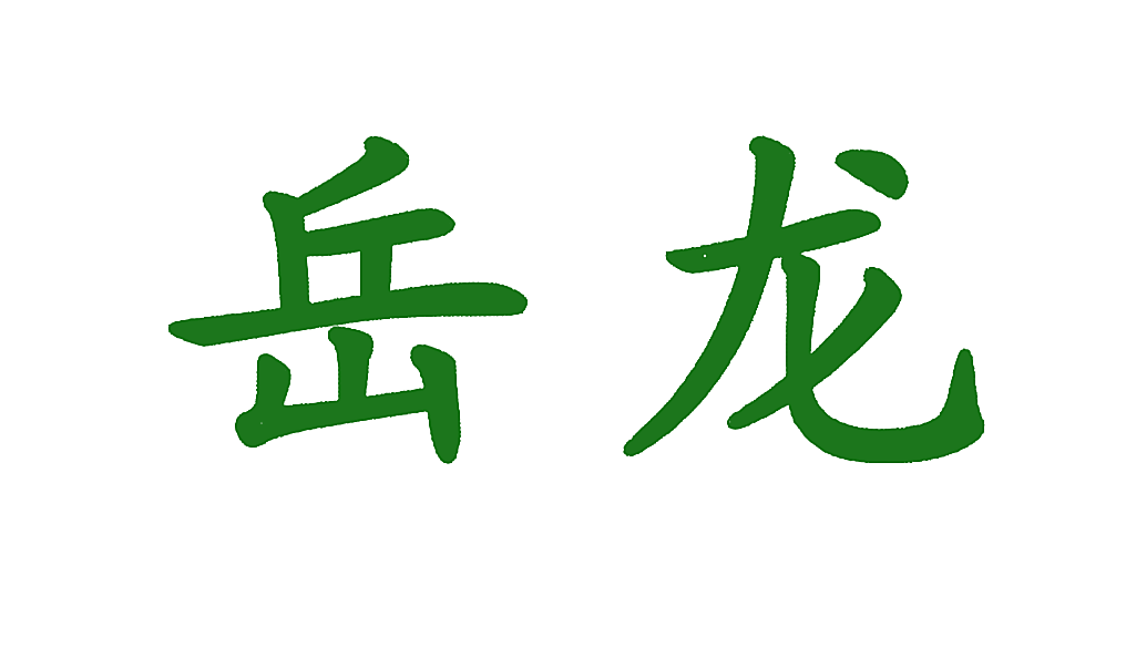 岳龙