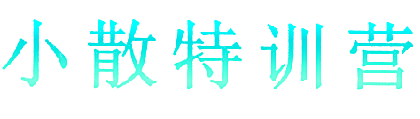 小散特训营