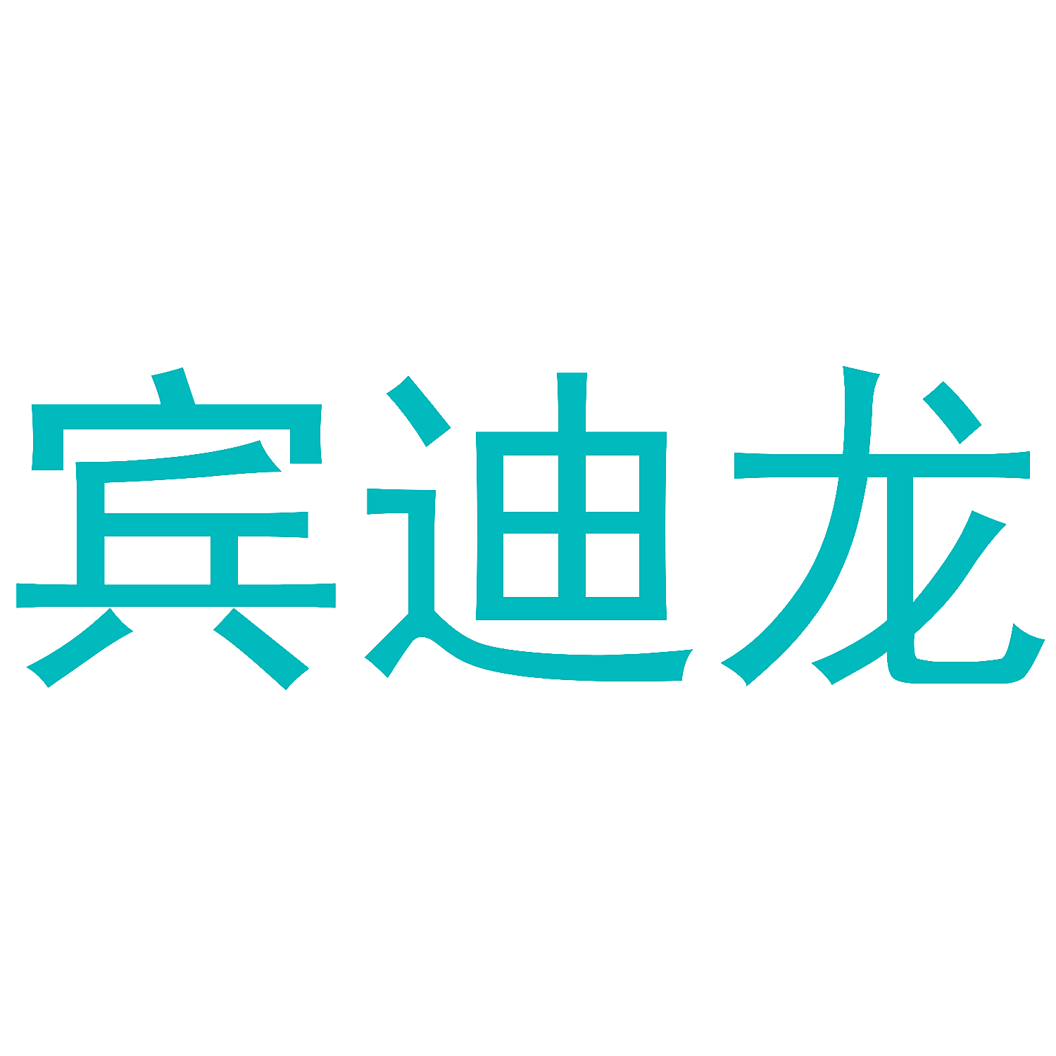 宾迪龙