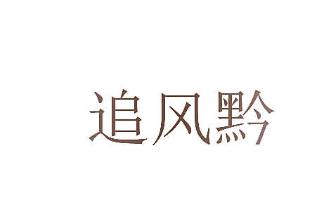 追风黔