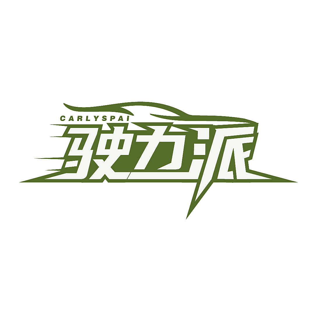 驶力派 CARLYSPAI