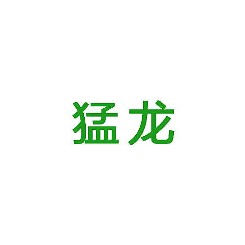 猛龙