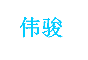 伟骏