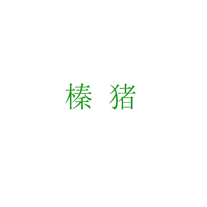 榛猪