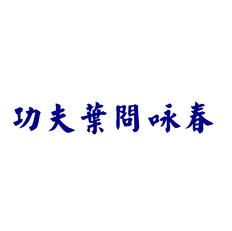 功夫叶问咏春
