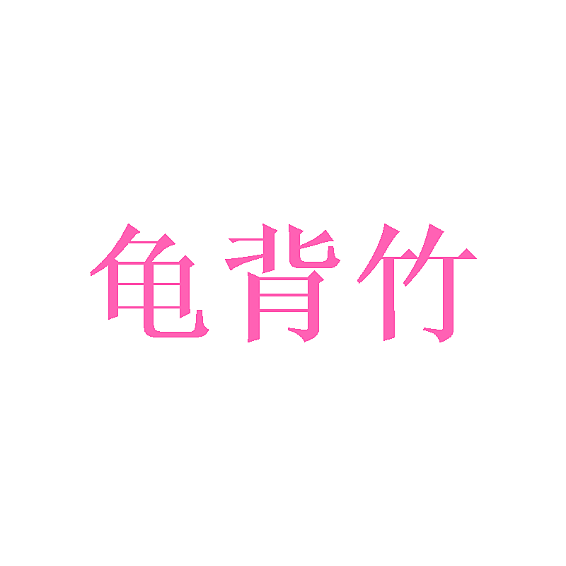 龟背竹