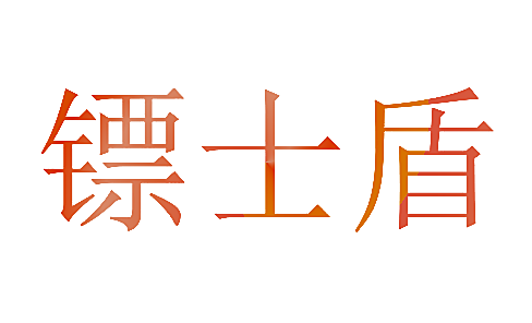 镖士盾