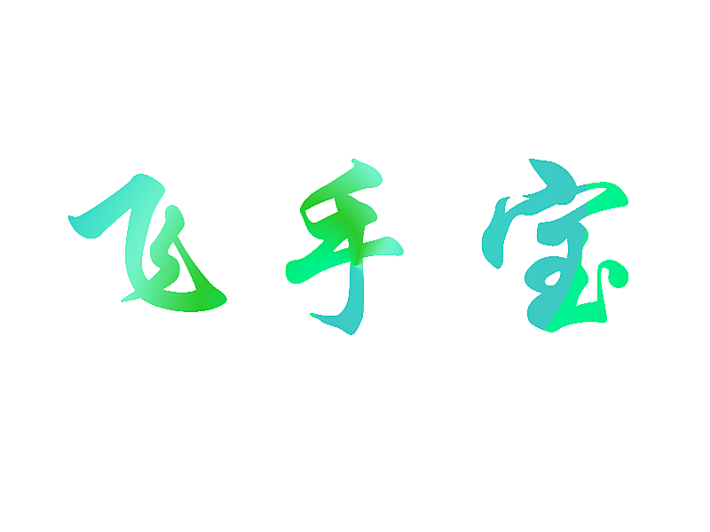飞手宝