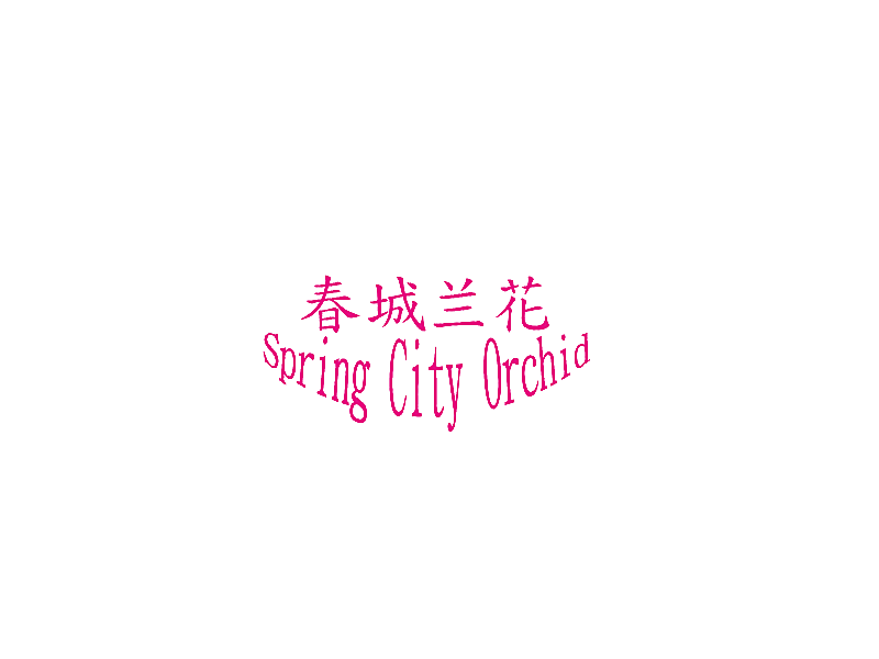 春城兰花 SPRING CITY ORCHID