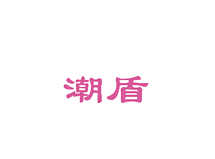 潮盾