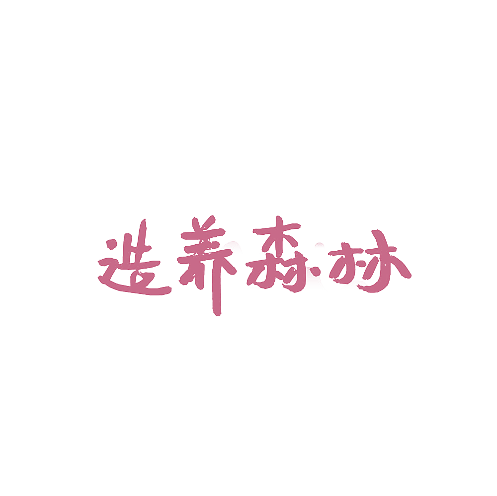 造养森林