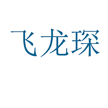 飞龙琛