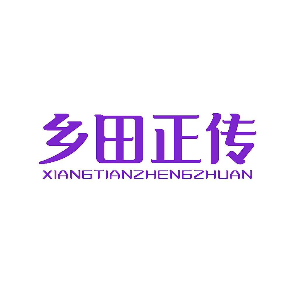 乡田正传