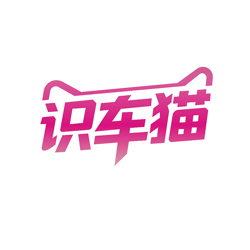 识车猫
