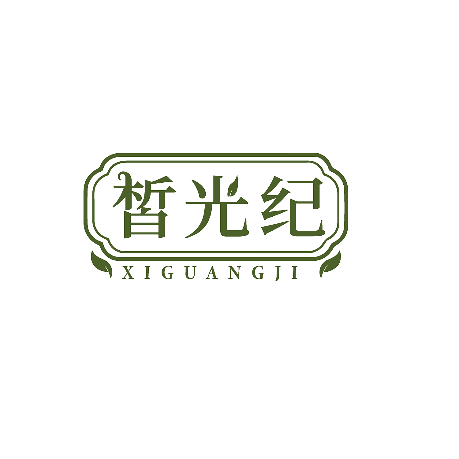 皙光纪