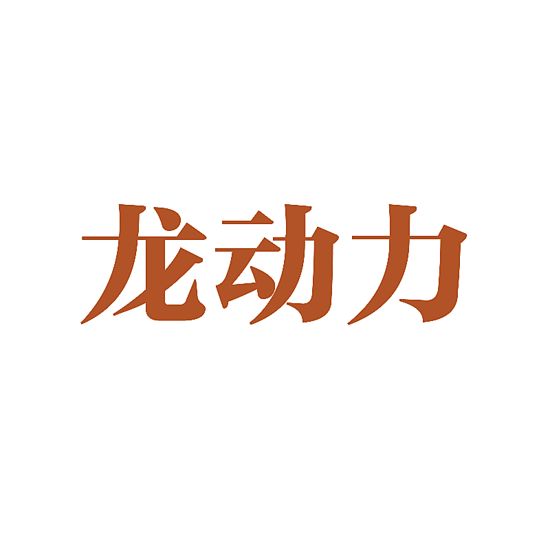 龙动力