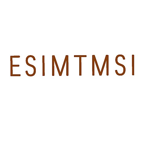 ESIMTMSI