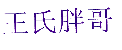 王氏胖哥