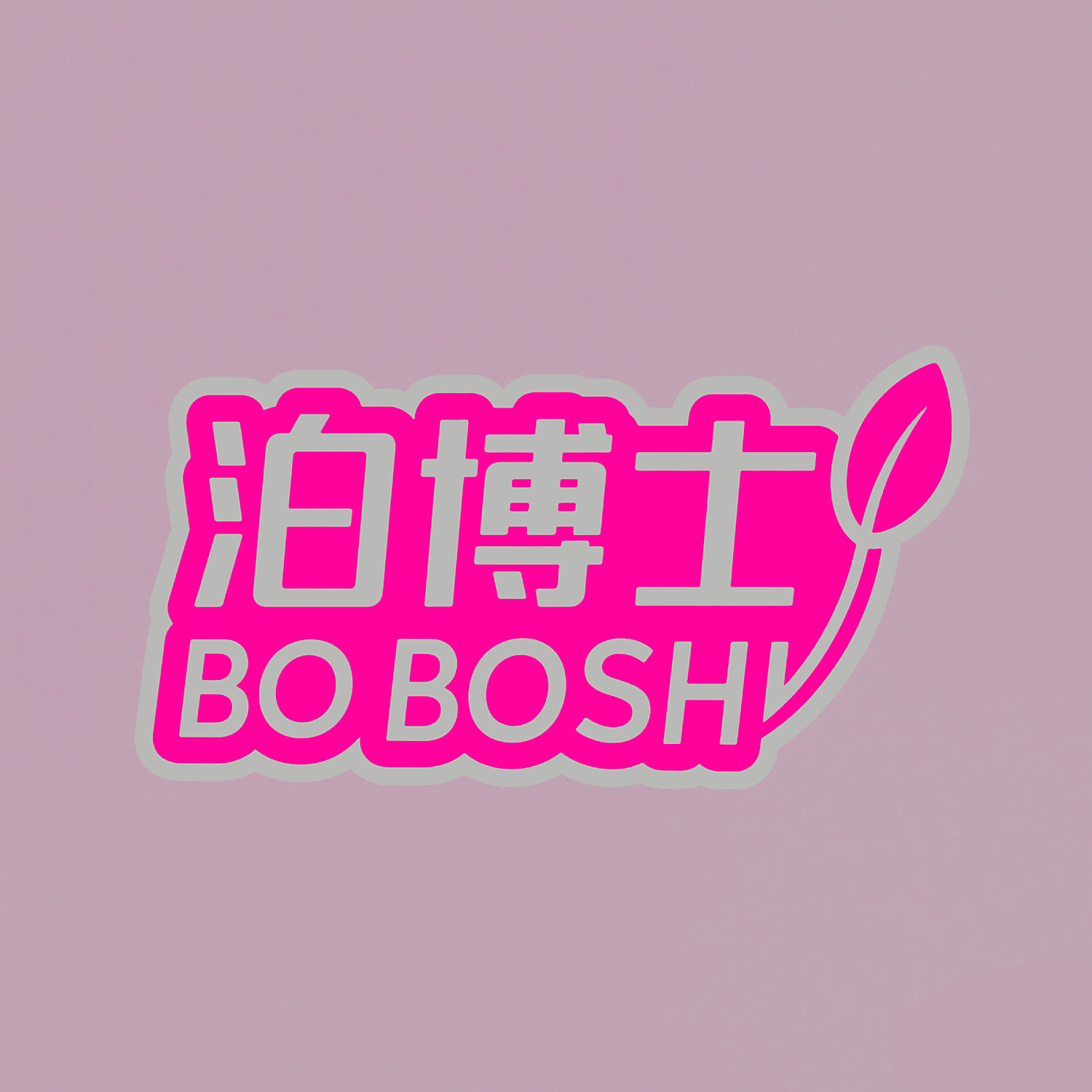 泊博士