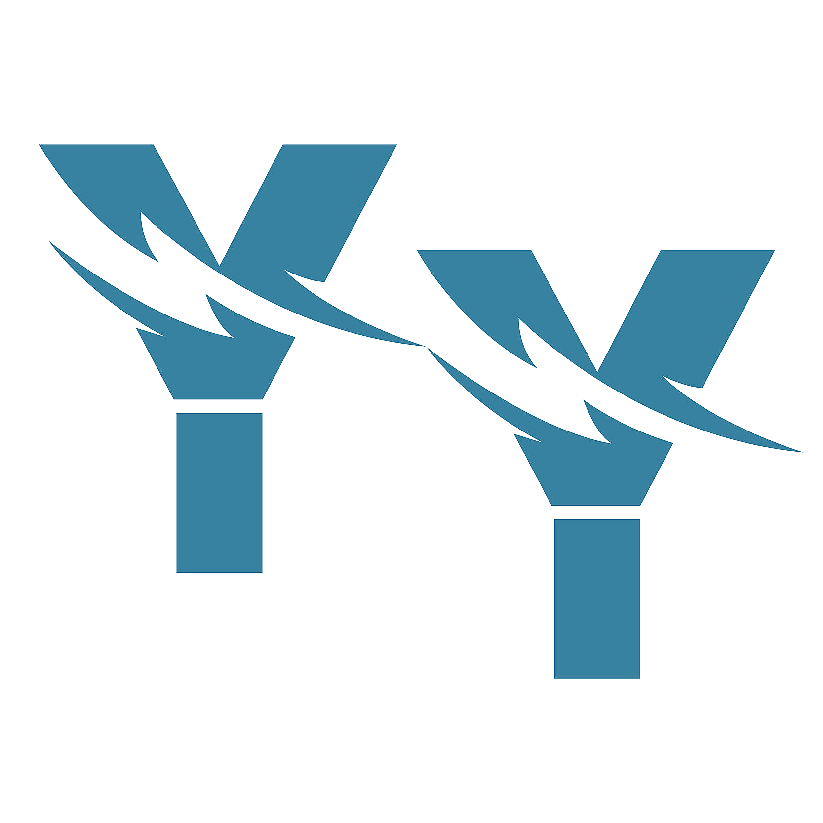 YY