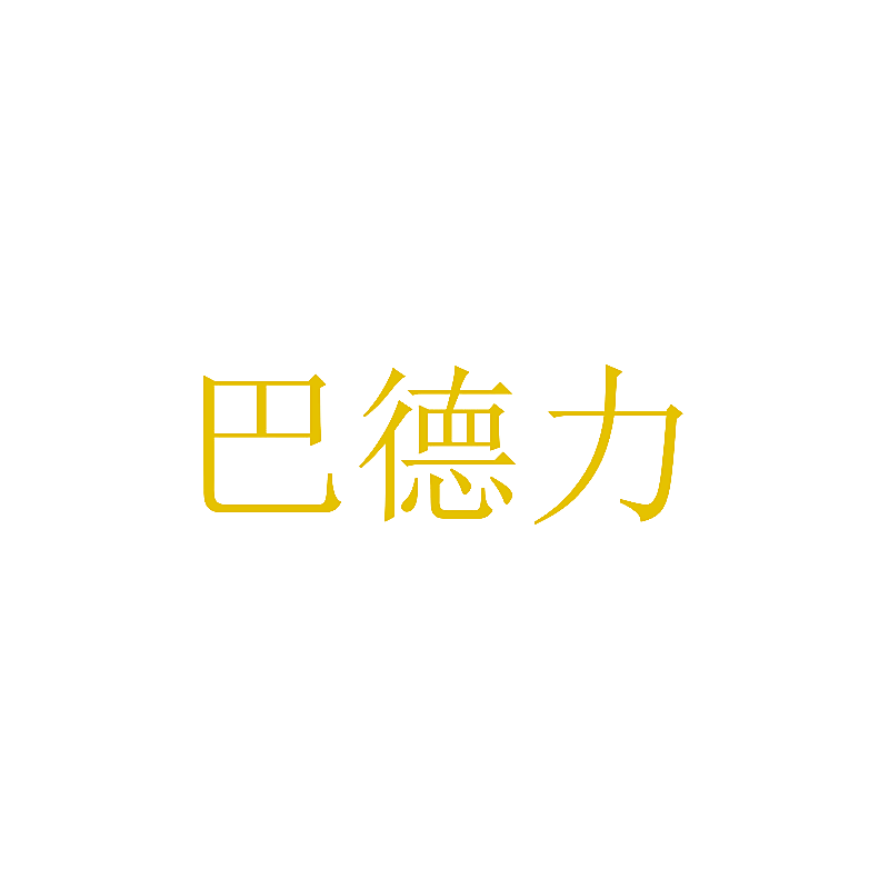 巴德力