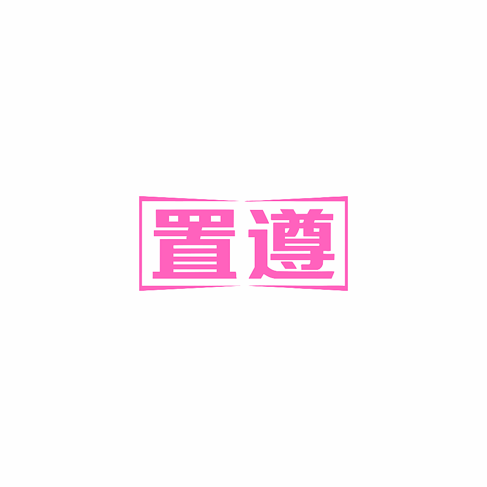置遵