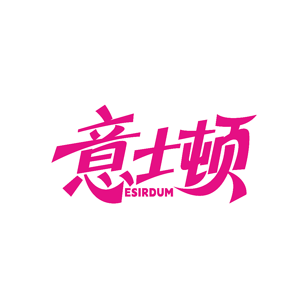 意士顿 ESIRDUM