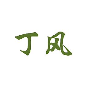 丁风
