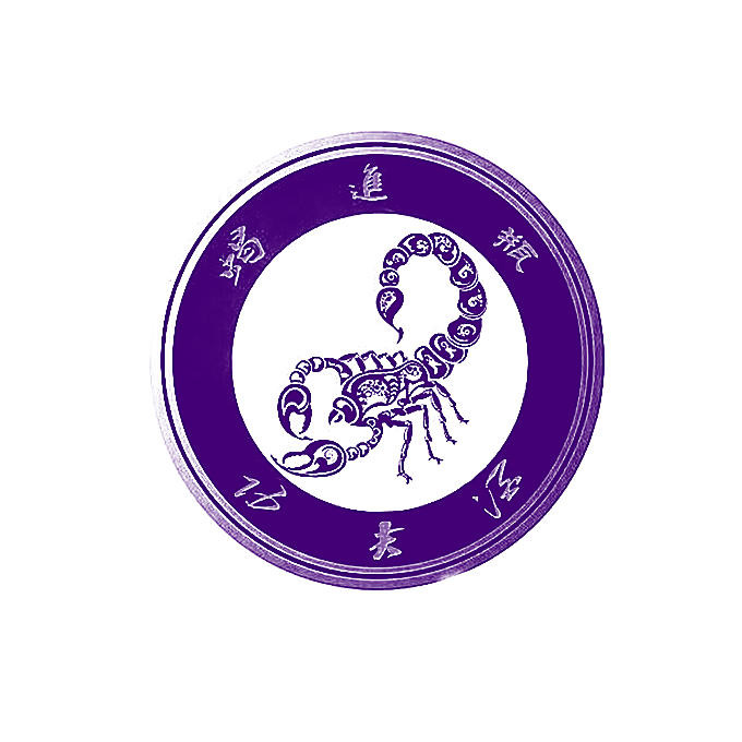 蝎进瓶 功夫酒