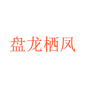 盘龙栖凤