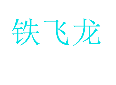 铁飞龙