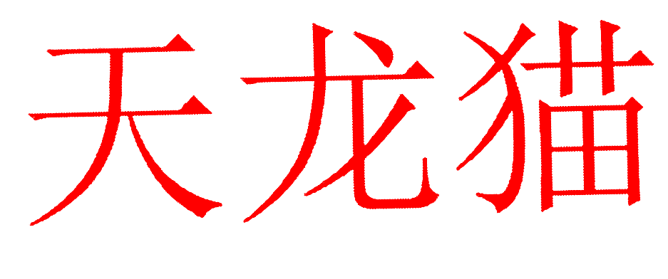 天龙猫